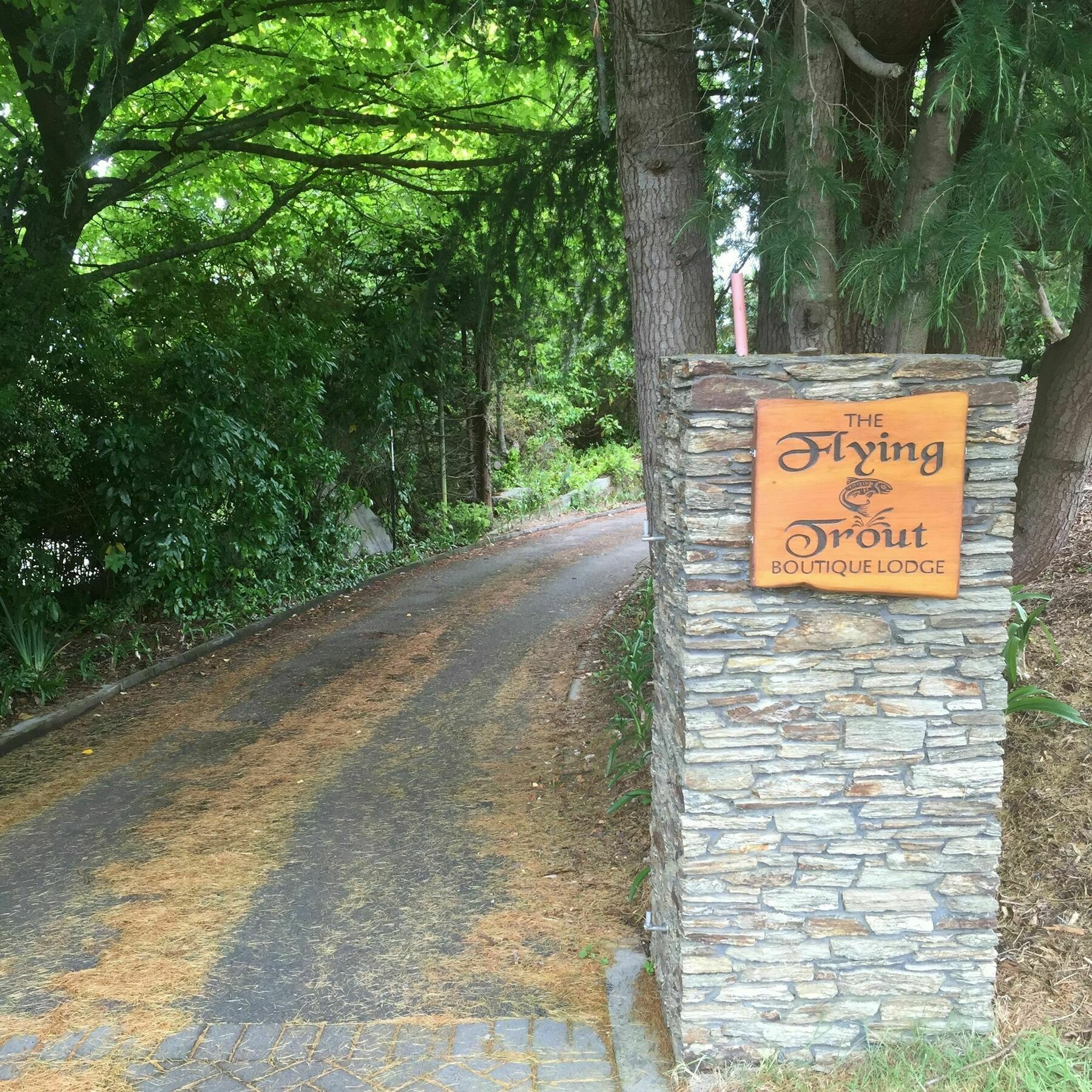 אגם טאופו The Flying Trout Boutique Lodge מראה חיצוני תמונה